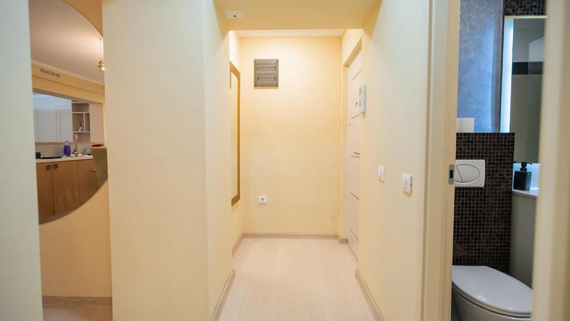 Luxurious Apartments With Swimming Pool - Herastrau Park Bucharest